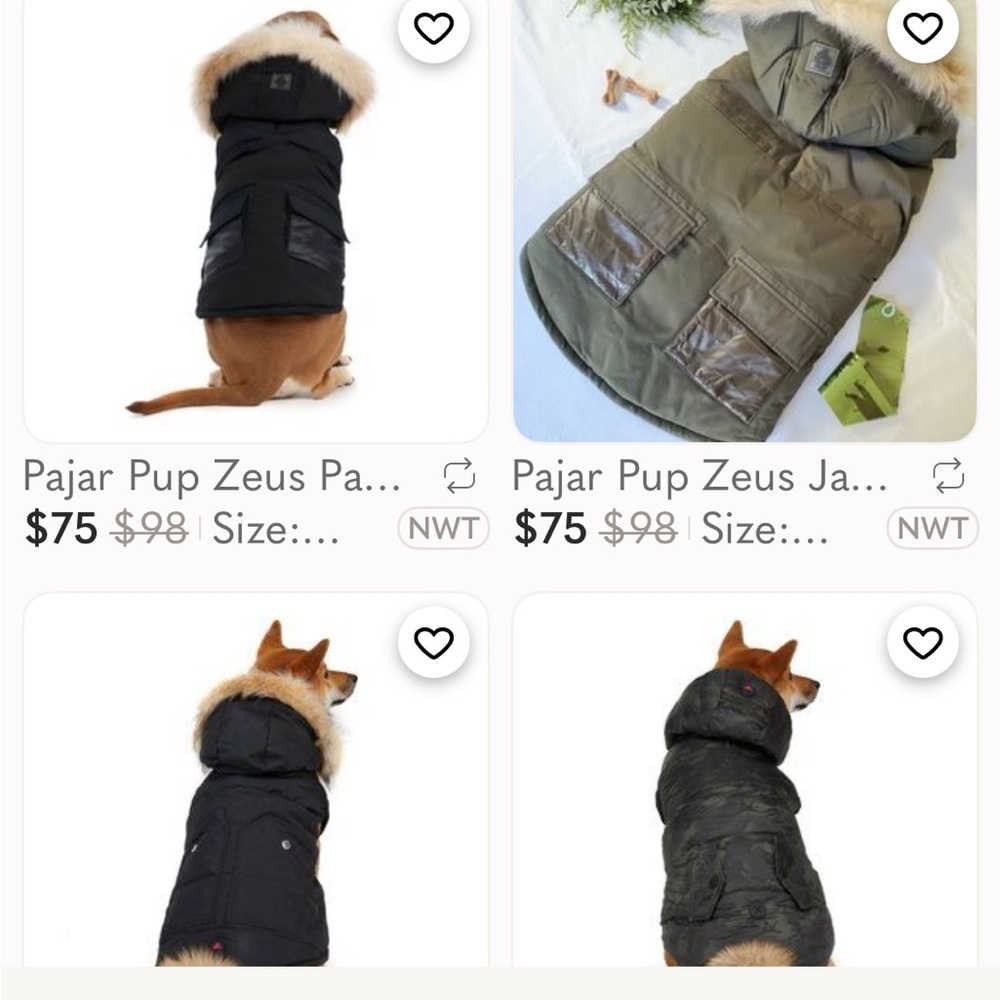 Pajar. Flash $29